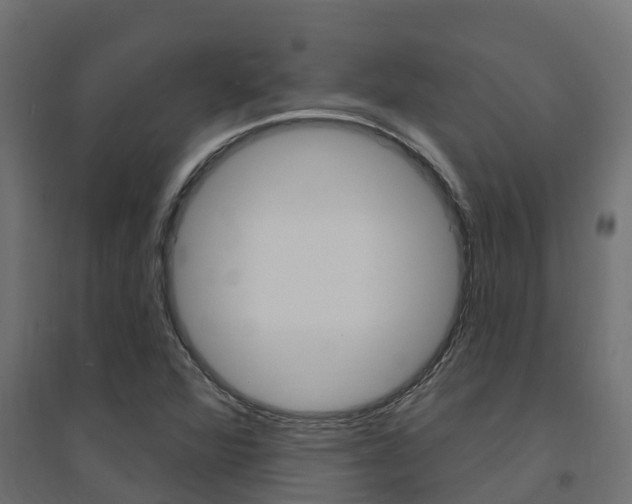 X0000094901360200711291013
