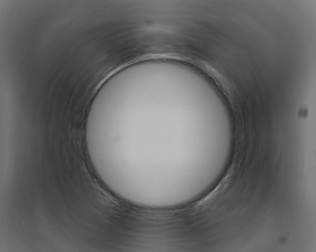 X0000094901361200711291013