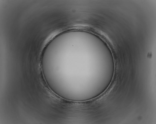 X0000094901362200711291013