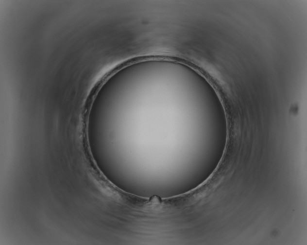 X0000094901364200711291013
