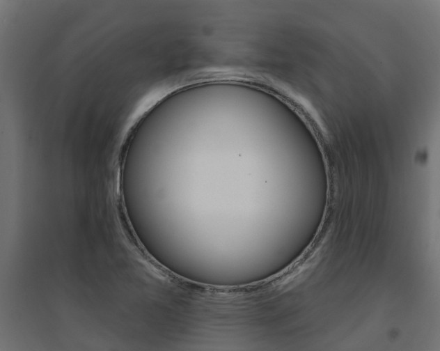 X0000094901365200711291013
