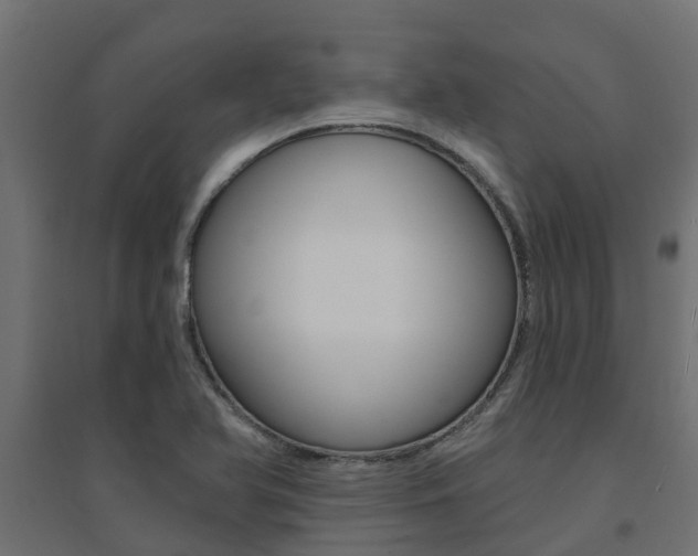 X0000094901366200711291013