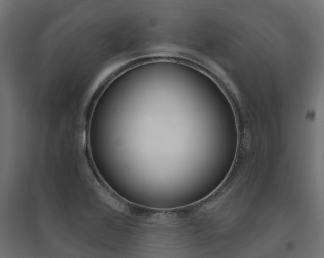 X0000094901368200711291013