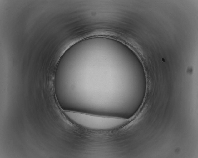 X0000094901369200711291012