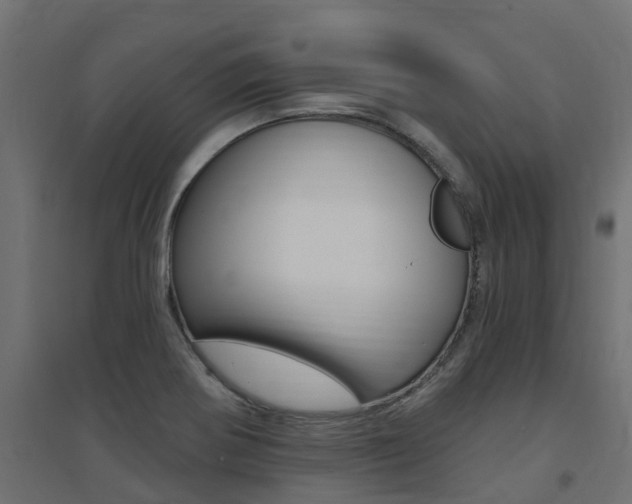 X0000094901370200711291012