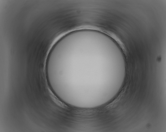 X0000094901372200711291012