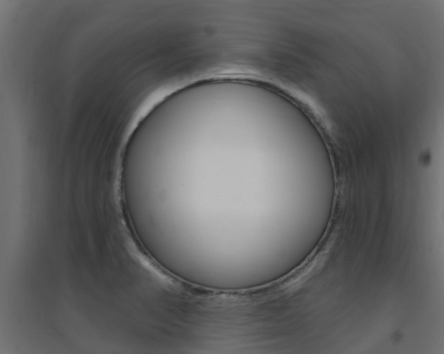 X0000094901374200711291012