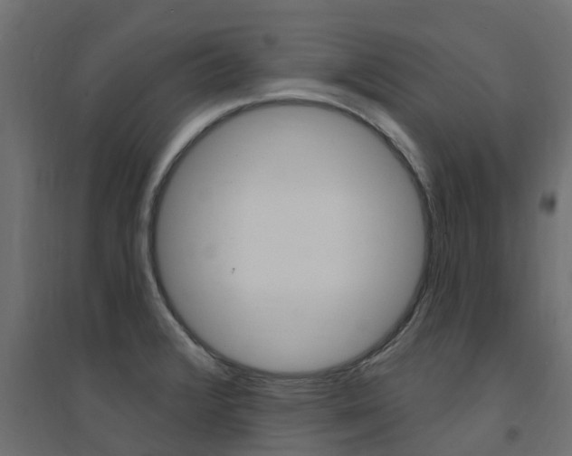 X0000094901376200711291012