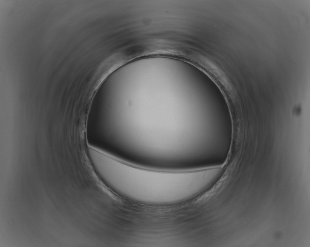X0000094901377200711291012