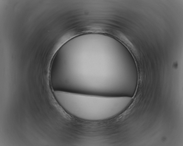 X0000094901378200711291012