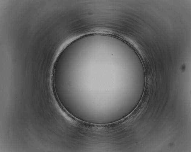 X0000094901379200711291012