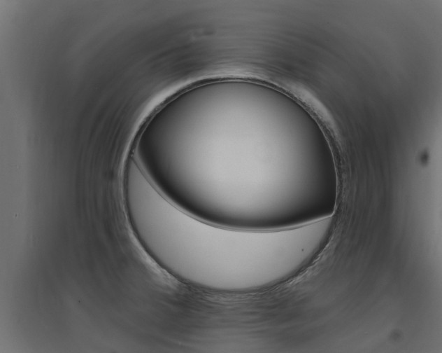 X0000094901380200711291012