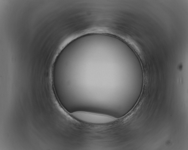 X0000094901382200711291012