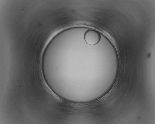 X0000094901384200711291012