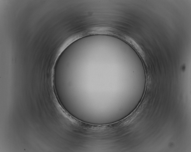 X0000094901386200711291012