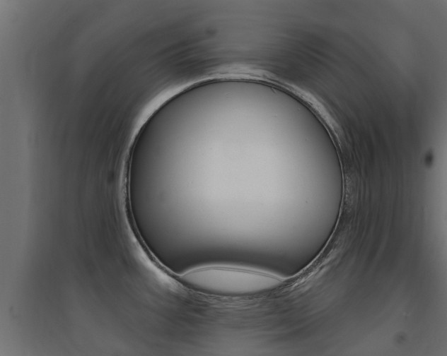X0000094901387200711291012