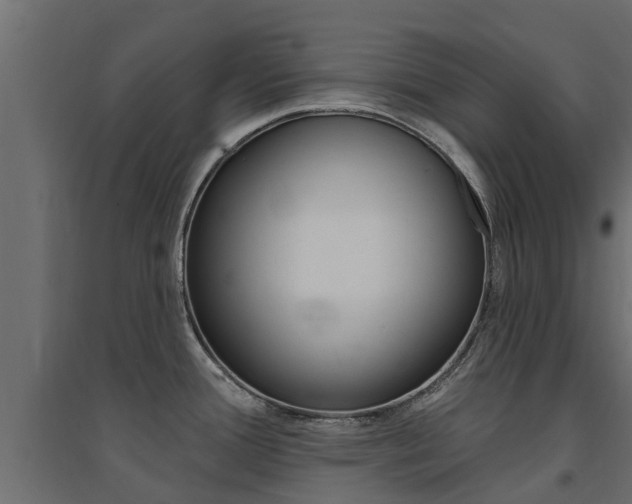 X0000094901388200711291012