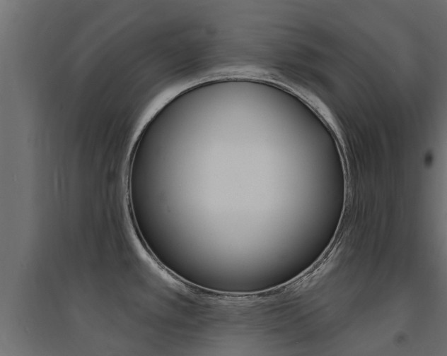 X0000094901389200711291012