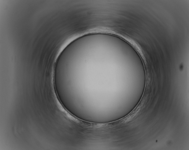 X0000094901390200711291012