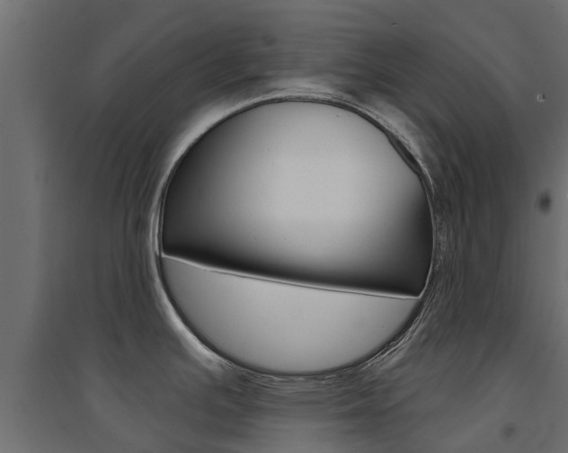 X0000094901391200711291012