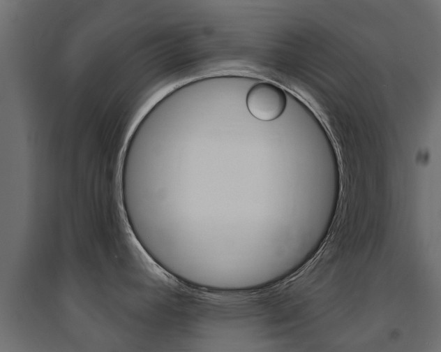 X0000094901392200711291012