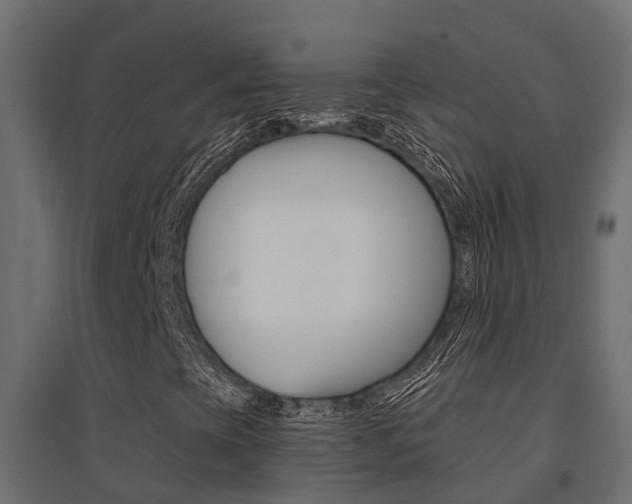 X0000094901393200711291011