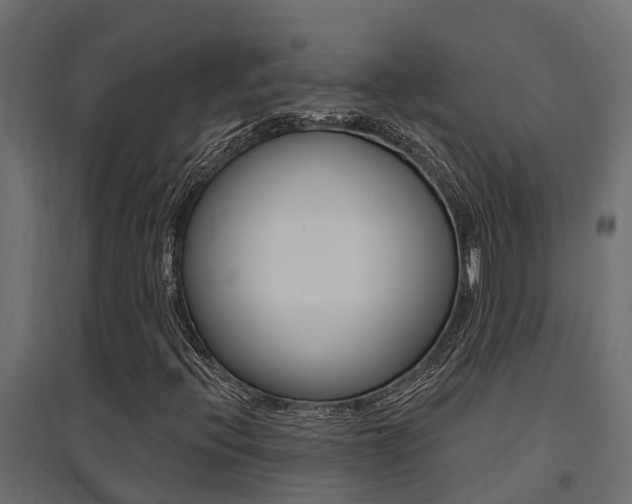 X0000094901396200711291011