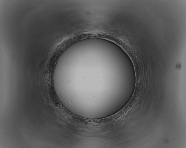 X0000094901398200711291011
