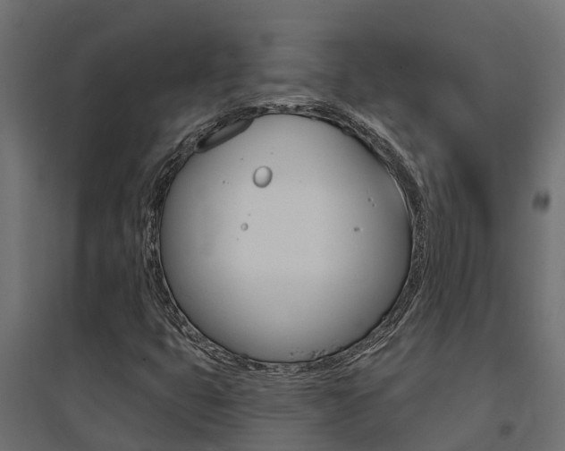 X0000094901399200711291011
