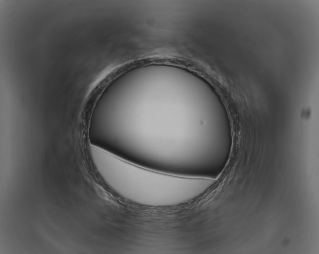 X0000094901400200711291011