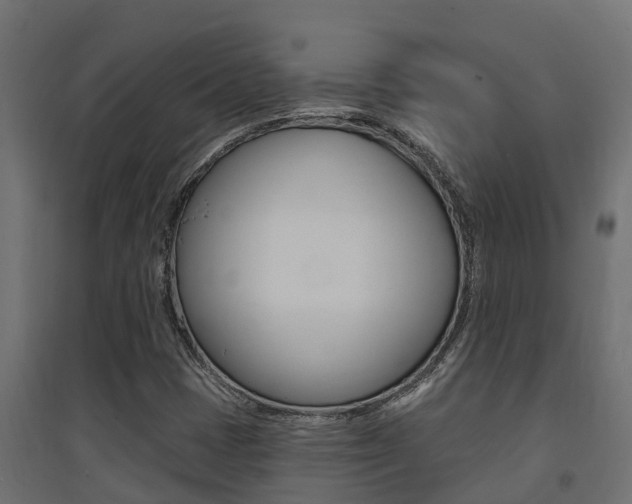 X0000094901401200711291011