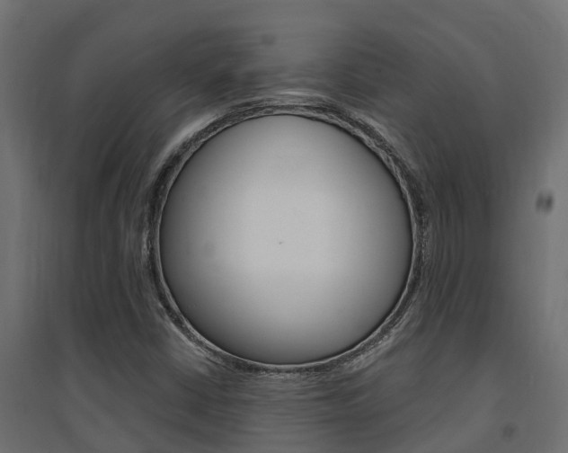 X0000094901402200711291011
