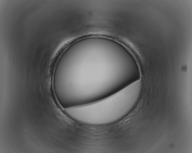 X0000094901408200711291012