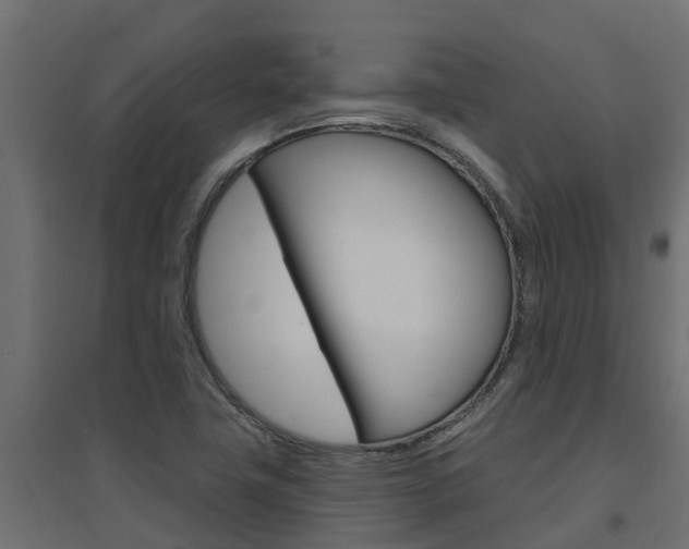 X0000094901411200711291012