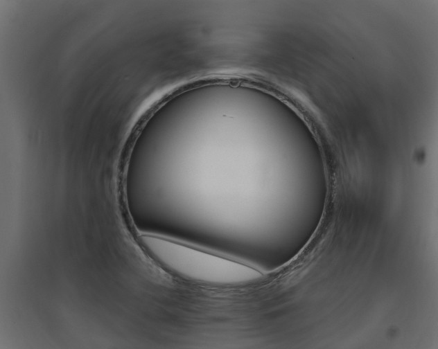 X0000094901412200711291012