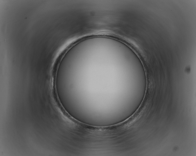 X0000094901414200711291012