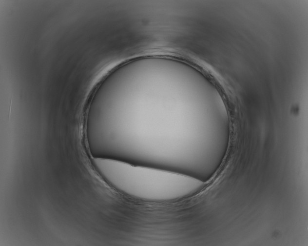 X0000094901415200711291012