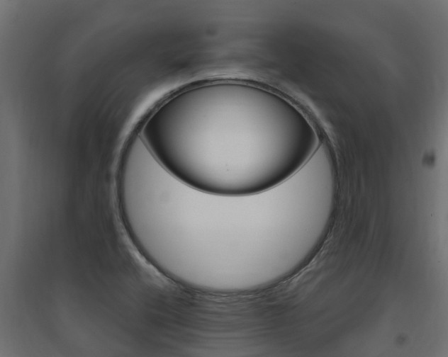 X0000094901416200711291012