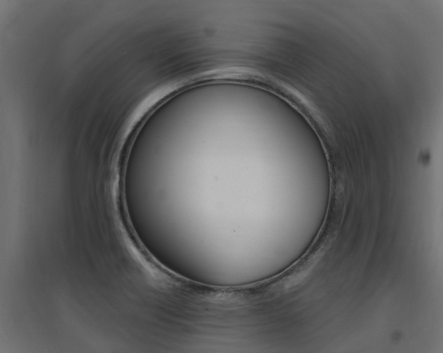 X0000094901418200711291012
