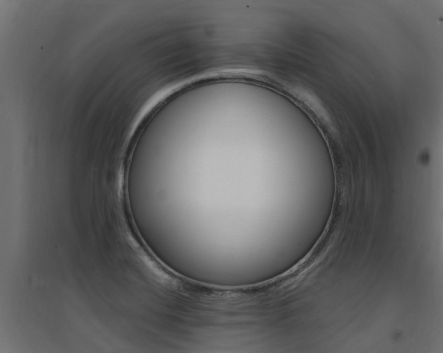 X0000094901420200711291012