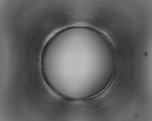 X0000094901422200711291012