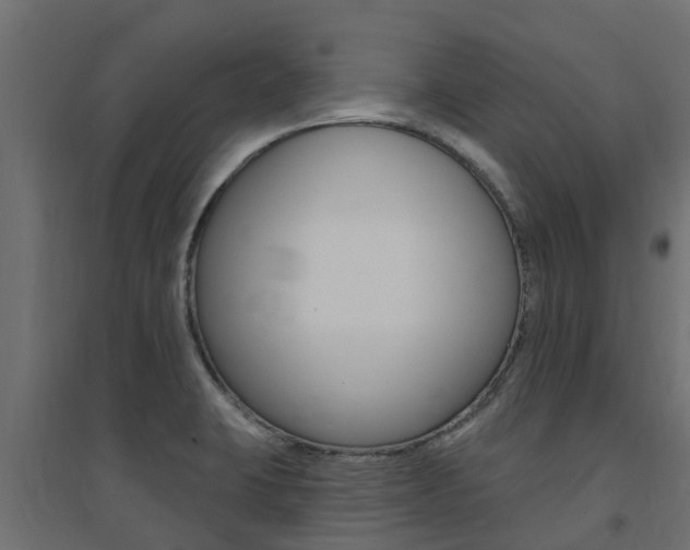 X0000094901423200711291012