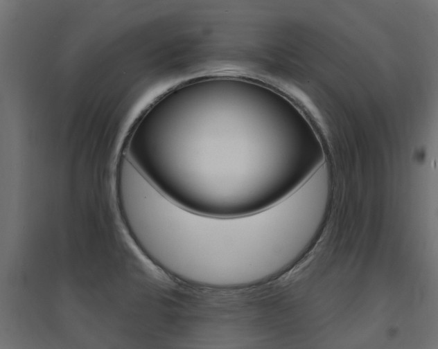 X0000094901424200711291012