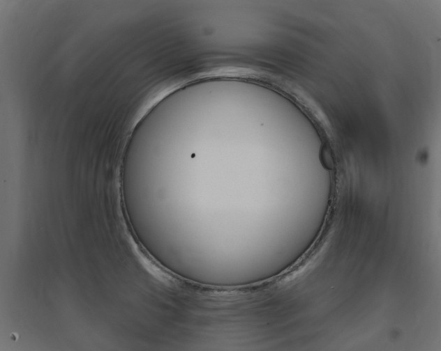 X0000094901425200711291012