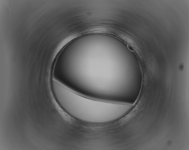 X0000094901426200711291012