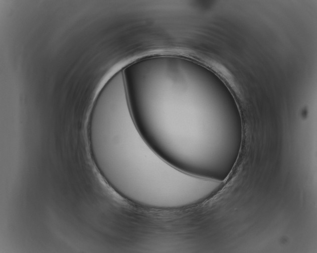 X0000094901428200711291012