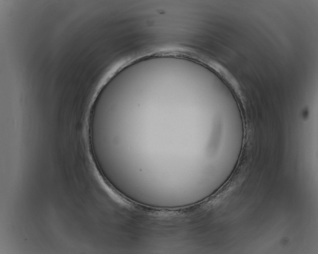 X0000094901429200711291012