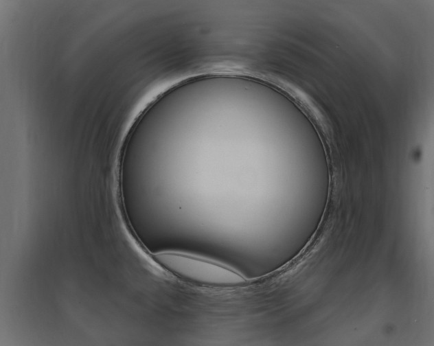 X0000094901432200711291012