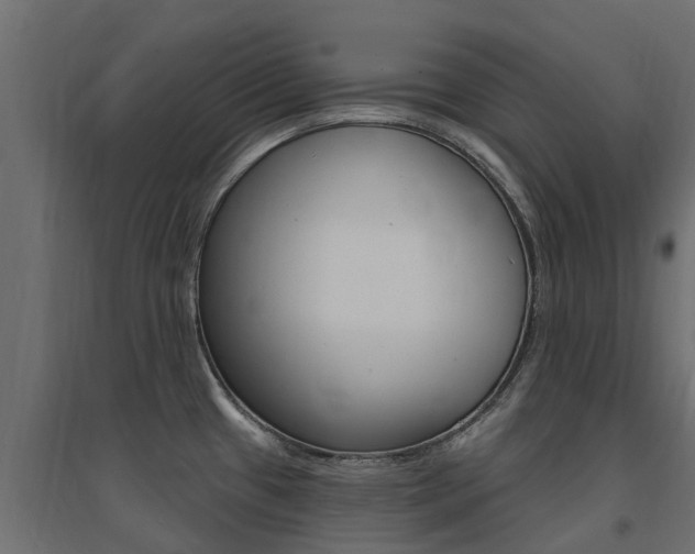 X0000094901433200711291012