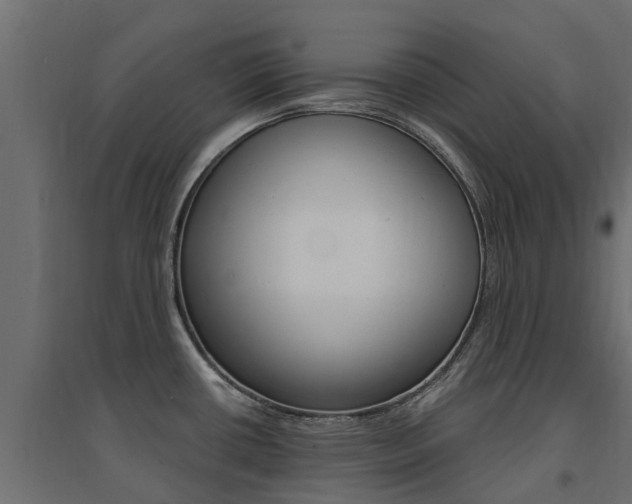 X0000094901434200711291012